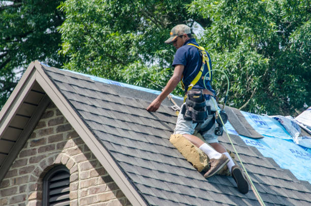 Best Metal Roofing Contractor  in Columbus, IN