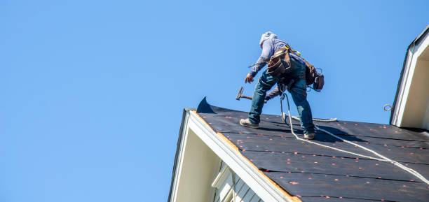 Best Roof Leak Repair  in Columbus, IN